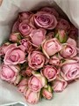 Роза куст-Rosa sp-Bridal Sensation-50cm-IS-vn 4eba0c66-9e54-11ed-0a80-02ee00266203