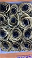 Роза-Rosa-Gold Mondial-50cm-IS 4ecb1f73-bae5-11ee-0a80-0ddb0000d771