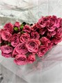 Роза куст-Rosa tr-Storm-40см 4f082cd6-e806-11ed-0a80-041b002d7774
