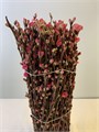 Прунус-Peach Blossom Long 4fb8d055-f39a-11ef-0a80-1419003c83dc
