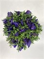 Анемон-Anemone-Mistral Plus Blue-CE 098eb24b-c565-11f0-0a80-185f001005db