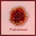 Гвоздика SE-Dianthus SE-Fabulous-/FC 50e09a75-3ddc-11ee-0a80-07b800128101
