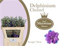Дельфиниум-Delphinium-Christel-70cm 51253d2c-bfa4-11ec-0a80-0b4c0006d56d