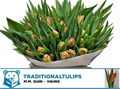 Тюльпан-Tulip-Du Viking-36cm--36gr 51380d0d-f770-11ef-0a80-0c70001032d7