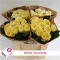 Роза-Rosa-Gr White Vuvuzela-60cm 51c10a24-bfa5-11ec-0a80-0b4c0007cfea