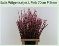 Саликс-Salix-Pussy Willow Pink-GW 554b4401-f46a-11ef-0a80-07b7000097a2