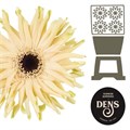 Гербера-Gerbera-Pastini Corvara Diamond--50cm 562ef41a-3f5d-11ef-0a80-066b0008b7b6