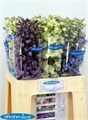 Дельфиниум-Delphinium-Du Gem-65cm 56704c76-bfa4-11ec-0a80-0b4c0006d99c