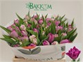 Тюльпан-Tulip-Du Castella-36cm-40gr 56d233d5-b9fb-11ee-0a80-0094000e011f