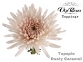 Хризантема одн-Chrysant Gr-Topspin Dusty Caramel-75cm-90gr 09dfdbb5-16f1-11ed-0a80-00b300183c39
