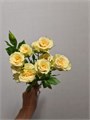 Роза куст-Rosa sp-Java-70cm-Ge 5a5cda15-d6cf-11ee-0a80-13fc000684de