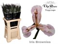 Ирис-Iris- Brownies-55cm-42gr 0a099ca1-16f1-11ed-0a80-00b300183c3c