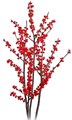 Илекс Ve-Ilex Ve-Rode Bes-80cm 5f7d9588-bfa4-11ec-0a80-0b4c0006e311