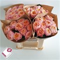 Роза-Rosa-Gr Vuvuzela--50cm 5f81dda8-c0a7-11ec-0a80-086200216c7b