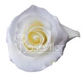 Роза-Rosa-Tibet-50cm-IS 5f9d1f05-bfa9-11ec-0a80-0b4c000b9cdb