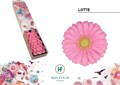 Гербера-Gerbera-Mi Lotte-45cm 5fd16d40-dc00-11ec-0a80-0d220005eeeb