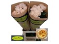 Роза-Rosa-Gr Madame Gulya!-60cm 60315212-4487-11ed-0a80-091c002a8ae4