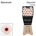 Гербера-Gerbera-Mi Teddy-50cm 618baaa0-17ba-11f0-0a80-0589007cfba2