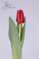 Тюльпан-Tulip-En Pacha-44cm-56gr 624cf658-17ba-11f0-0a80-0589007cfbf0
