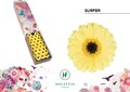 Гербера-Gerbera-Mi Surfer Doos-45cm 624f7c75-17ba-11f0-0a80-0589007cfbf3