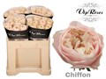Роза-Rosa-Gr Chiffon X40-50cm 62fe881f-6b8c-11f0-0a80-116d001bf032