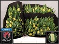 Тюльпан-Tulip-En Creme Fraiche-37cm-30gr 6305a89c-f635-11f0-0a80-01f90000a7a1