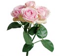 Роза куст-Rosa sp-Pink Irischka-50cm-QA 655e1f08-bfa9-11ec-0a80-0b4c000bacad