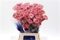 Гвоздика ст-Dianthus st-Lege Pink Hi--70cm 656cc18a-c645-11ed-0a80-0d970022535a
