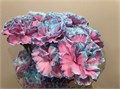 Гвоздика ст-Dianthus st-Bubblegum-60cm 0ada0044-bfa4-11ec-0a80-0b4c00069246