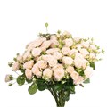 РОЗЫ Софи 50 см-(Россия) 65debb29-2246-11ef-0a80-0dd60007070d