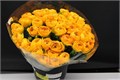 Ранункулус-Ranunculus-Cloni Super Saffron(geel)-45cm 66366d01-90aa-11ed-0a80-08d200028edd