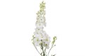 Дельфиниум-Delphinium-Du Dew Anastas-95cm 66ee4f05-0a0d-11ee-0a80-0c7e0088be54