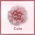 Гвоздика SE-Dianthus SE-Cute-FC-vn 67e2c09d-a018-11ed-0a80-05fa00736310