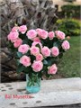 Роза куст-Rosa sp-Bal Musette-70cm--RS 682bfe1c-b67b-11ed-0a80-0bd4005a3b7d