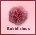 Гвоздика SE-Dianthus SE-Bubblicius-FC-vn 685703c4-a018-11ed-0a80-05fa0073639e