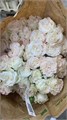 Роза куст-Rosa sp-Fluffy Flow-50cm-RS 68cd2c04-5913-11ee-0a80-0ba200050906