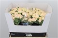 Роза куст-Rosa tr-Sancerre-50cm 6901a521-bfa5-11ec-0a80-0b4c0007e490
