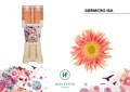 Гербера-Gerbera-Na Diamond Germicro Isa-50cm 6a4c27be-137e-11ef-0a80-17b00002d201
