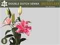 Лилия-Lilium-Or Du Overig-95cm 6a8a30ff-137e-11ef-0a80-17b00002d20d