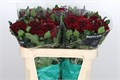 Хризантема одн-Chrysant Gr-Barca Red-70cm-65gr 0bc62018-bfa6-11ec-0a80-0b4c00086de0