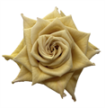 Роза-Rosa-Combo-50cm-CN 6b8f253e-1b30-11ee-0a80-0dd30010b152