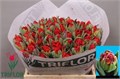 Тюльпан-Tulip-Du Rococo Double-41cm-34gr 6c933f60-1c6f-11f0-0a80-0672002cd6b7