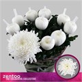 Хризантема одн-Chrysant Gr-Tutu-70cm-135gr 6cc86634-1c6f-11f0-0a80-0672002cd6f9