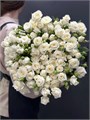 Роза куст-Rosa sp-Snow Bubble-50cm-Si 6ccc9add-5fd5-11f0-0a80-099200159a55