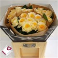 Роза-Rosa-Gr Persuasion--60cm 6dad0461-0699-11ed-0a80-063c00217d6b