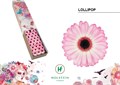 Гербера-Gerbera-Mi Doos Lollipop-45cm 6e5c61d3-1406-11ee-0a80-01b60020ed20