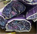 Гипсофила-Gypsophila-Over Time IRINA'S RAINBOW-1000gr-/EA 0c31d5bc-2fa8-11ef-0a80-1414000a953a