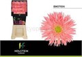 Гербера-Gerbera-Gr Gersp Diamond Emotion-50cm 6f8e0676-283d-11ed-0a80-0f2f00031326