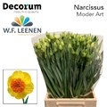 Нарцис-Narcissus-Modern Art-45cm-25gr 6ffa30f2-d0db-11ee-0a80-1611000ccba5