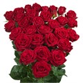 Роза куст-Rosa sp-In Love-50cm-Si 70d22f45-9c96-11f0-0a80-1450000c0479